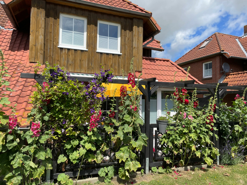 Fehmarn Sonnendeck-17-Terasse mit Rosen